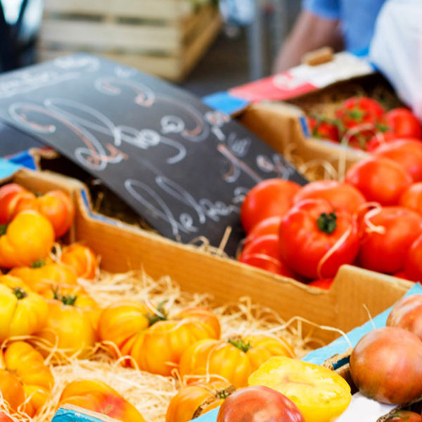 Learn how to cook the meals you've been dreaming of making thanks to these culinary tours.
