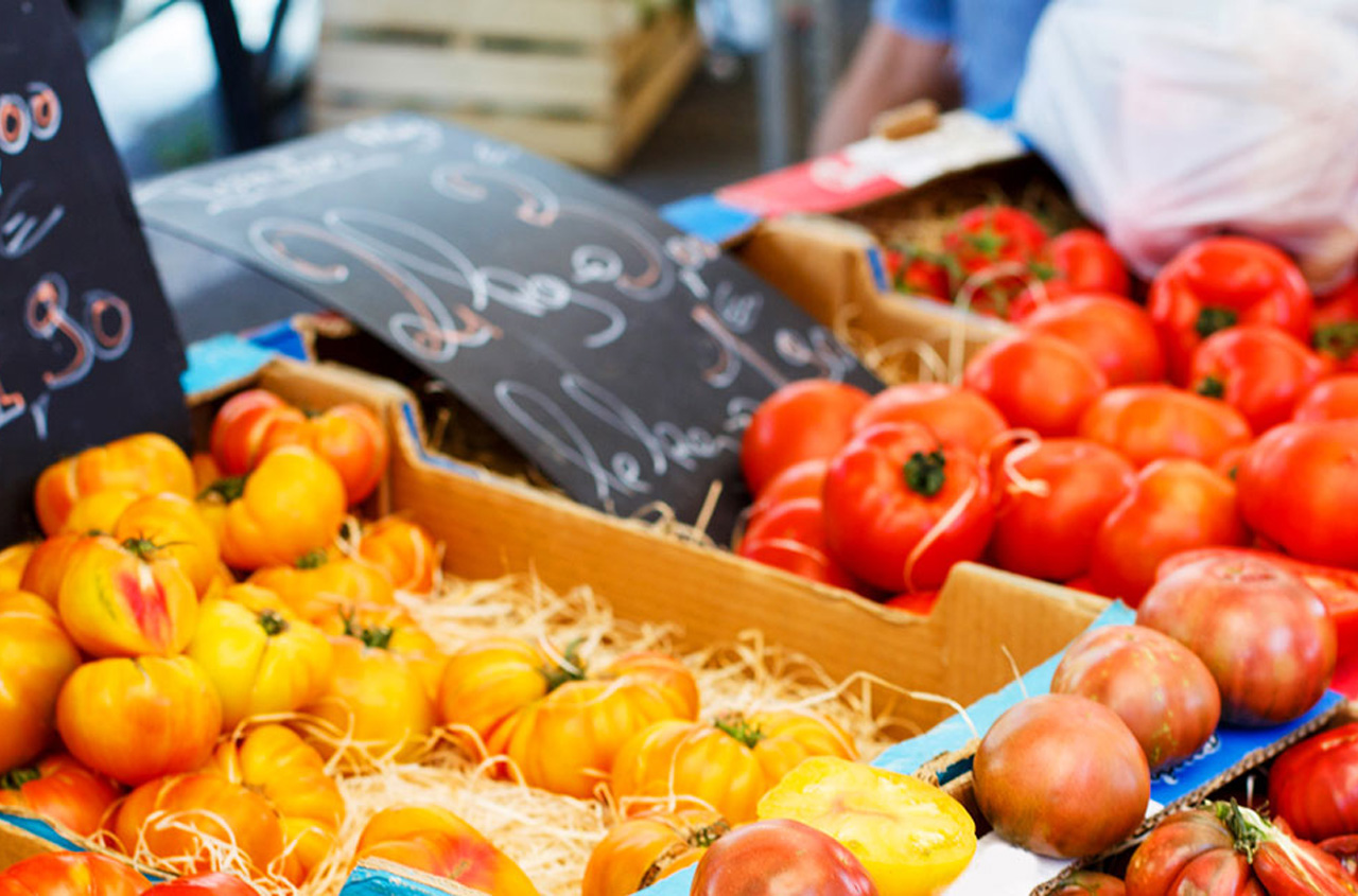 Learn how to cook the meals you've been dreaming of making thanks to these culinary tours.