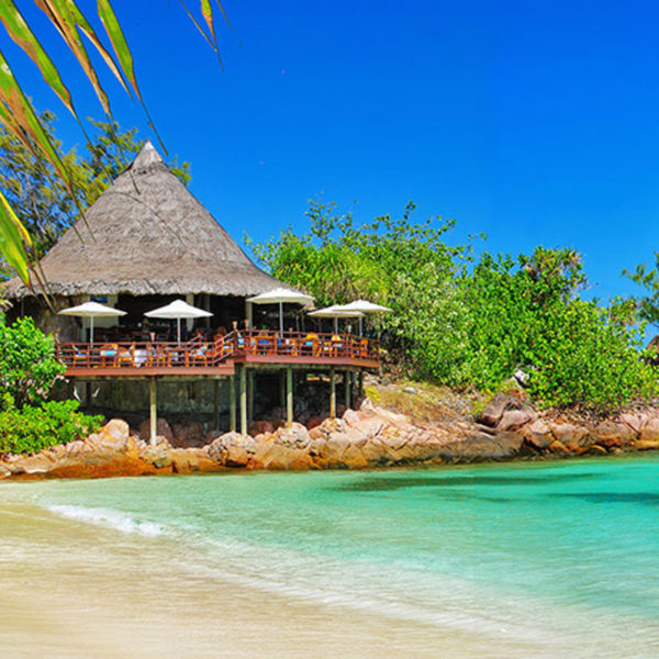 If luxury travel is more your speed, Talk of the Town Travel can help you save big!
