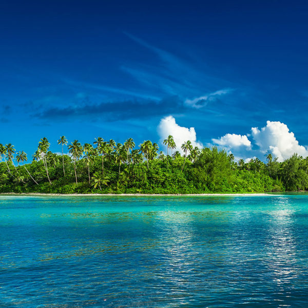 Tropical Rarotonga with palm trees and sandy beach, Cook Islands