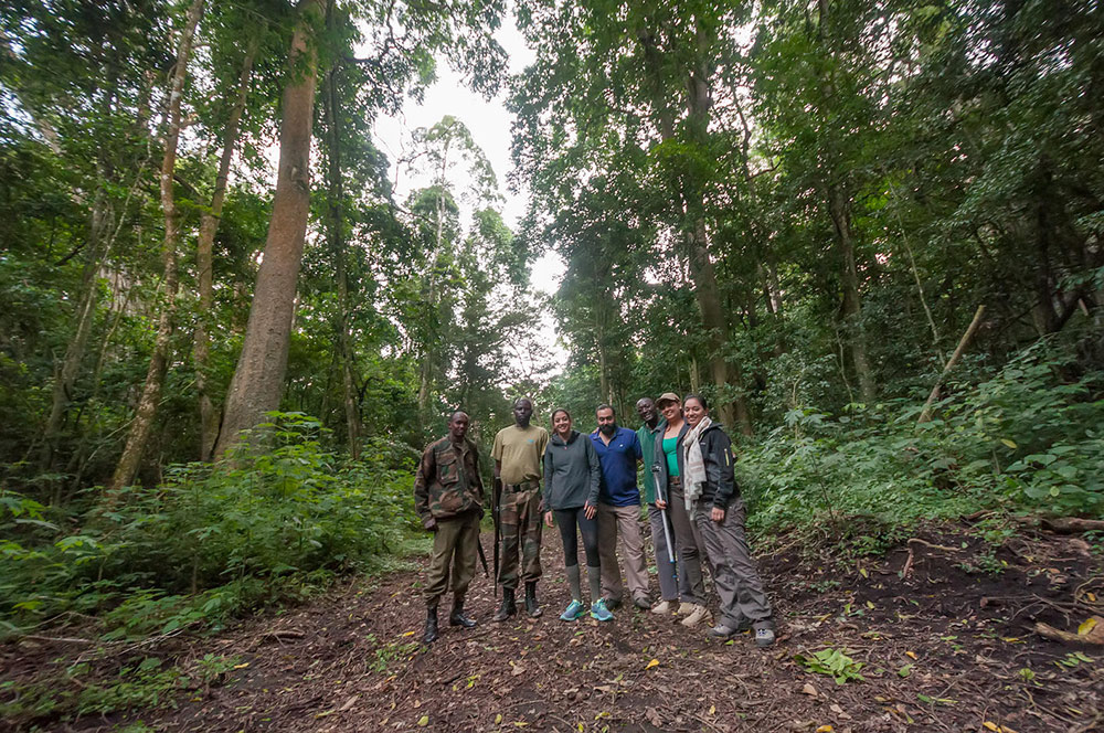 Enjoy the tranquility of hiking through the ancient forests of Kenya.