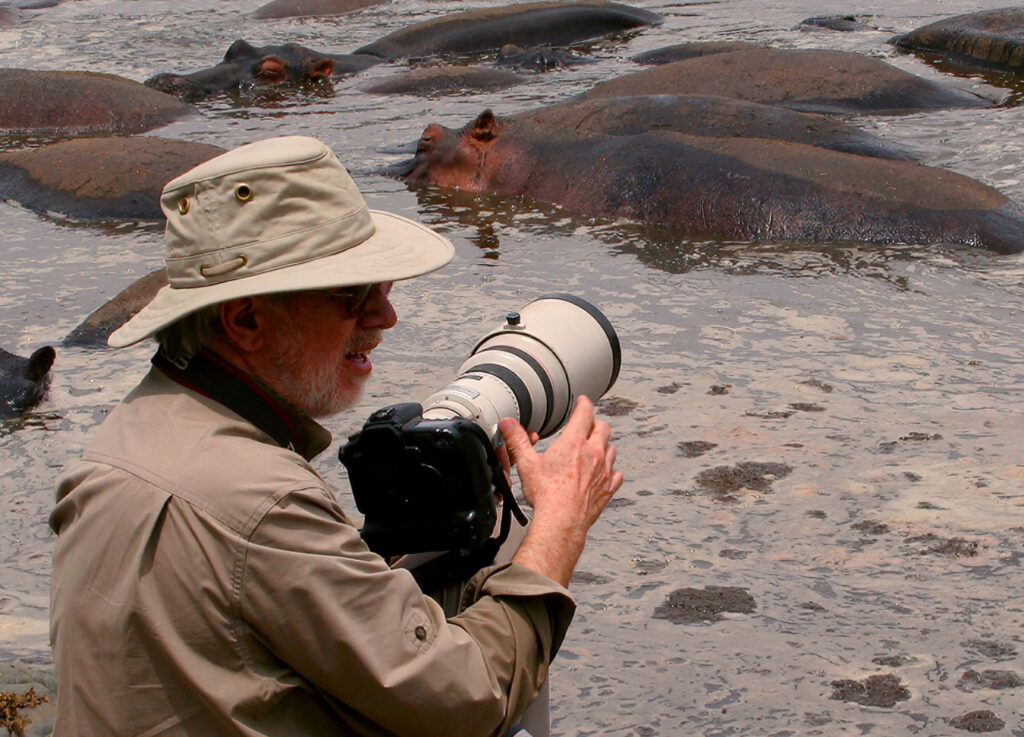 Dave Taylor Kenya Photography Safari, Hippos in the wild.