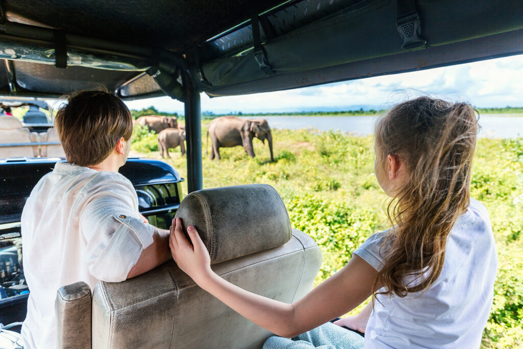 Visit Sri Lanka and get to see elephants in Udawalawe National Park.
