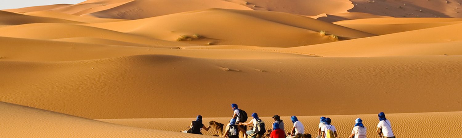 Camel caravan going through the sand dunes in the Sahara Desert